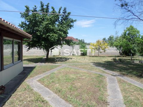 photo no. 10