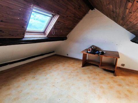 photo no. 13