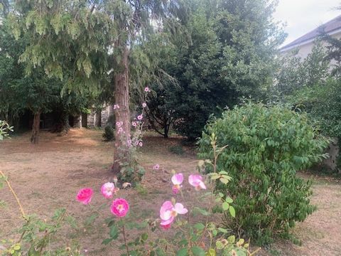 photo no. 6