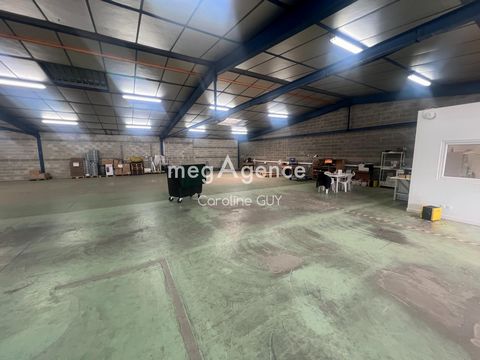 photo no. 1
