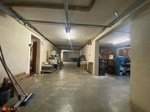 photo no. 11
