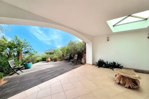 photo no. 12