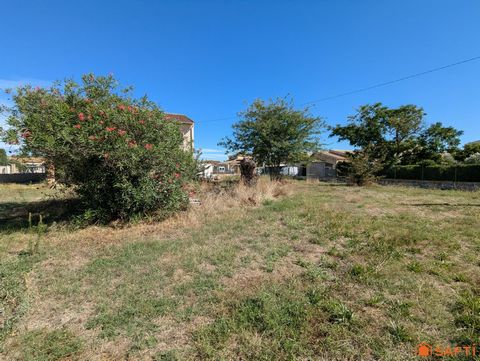 photo no. 1