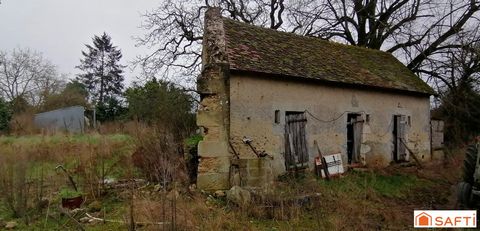 photo no. 4