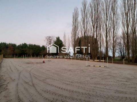 photo no. 6