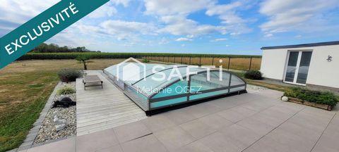 photo no. 10