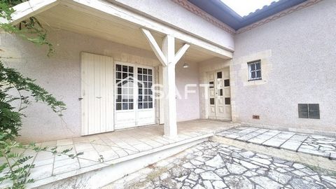 photo no. 13