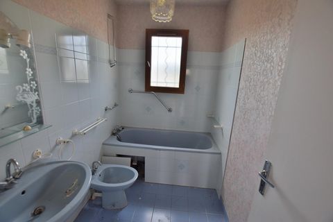 photo no. 7