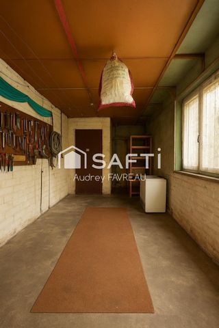 photo no. 9