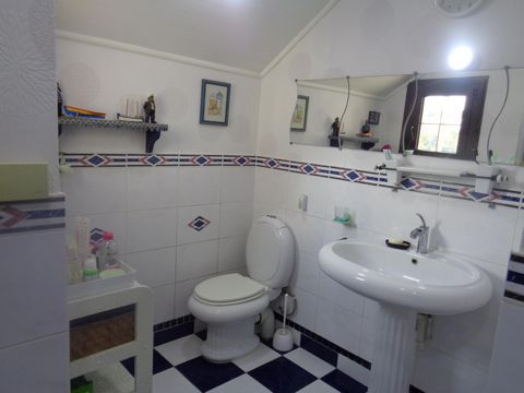 photo no. 10