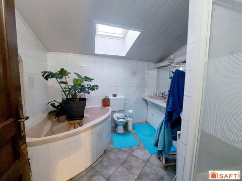photo no. 12
