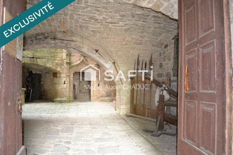 photo no. 7
