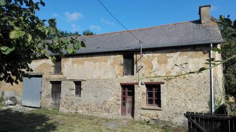 photo no. 17