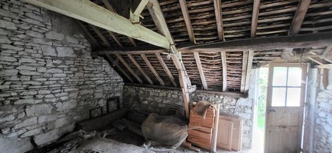photo no. 13