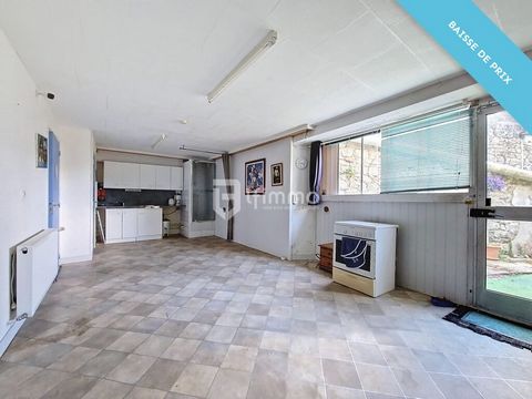 photo no. 11