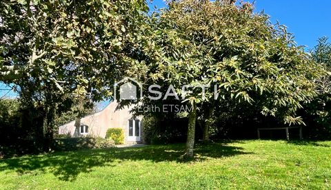 photo no. 15