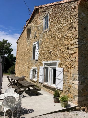 photo no. 4
