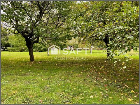 photo no. 19