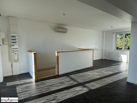 photo no. 8