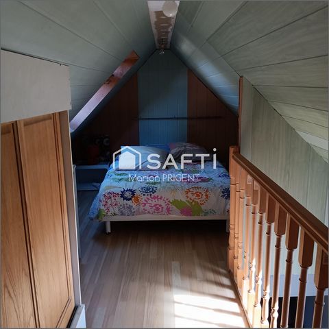 photo no. 12