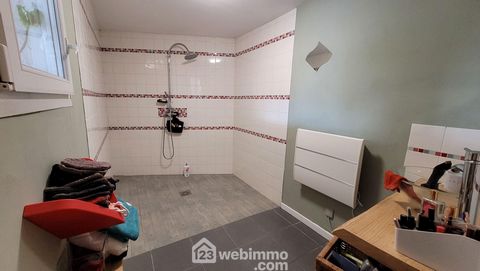 photo no. 10