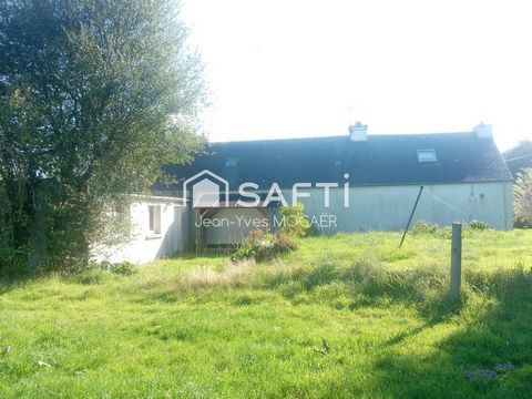 photo no. 11