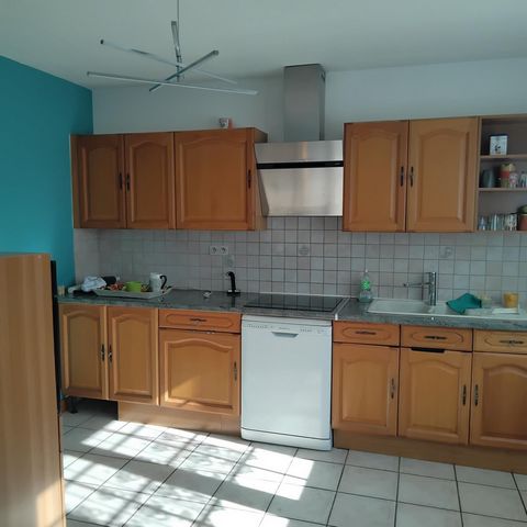 photo no. 5