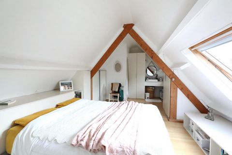 photo no. 6