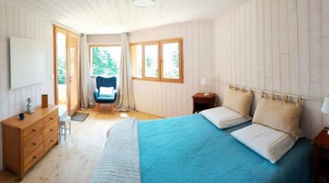 photo no. 12