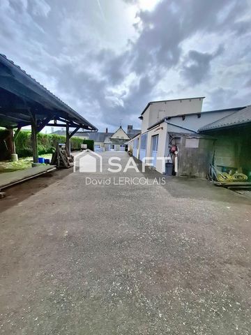 photo no. 13