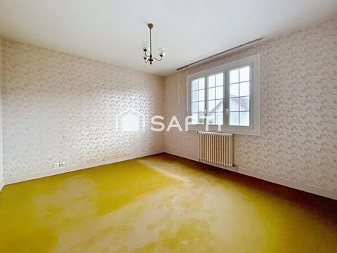 photo no. 11