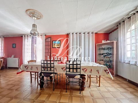 photo no. 6