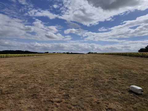 Grand terrain constructible de 29 960 m² avec piste d’aviation – Idéal promoteur immobilier – Vicq-sur-Nahon (36600)