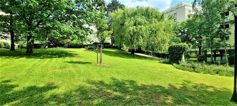 photo no. 13
