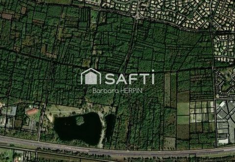 Forêt Classée à GUJAN-MESTRAS