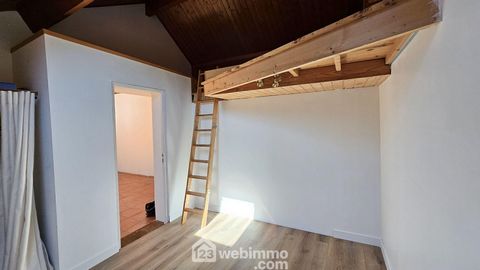 photo no. 8