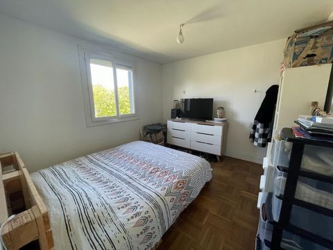 photo no. 7