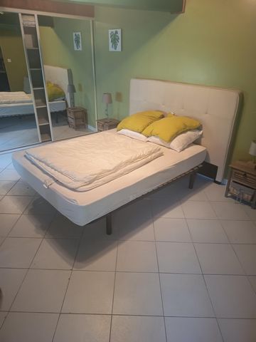 photo no. 11