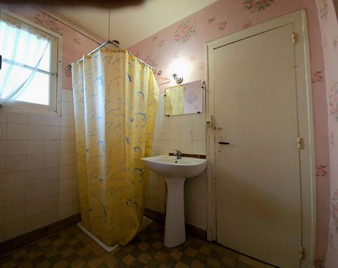 photo no. 7