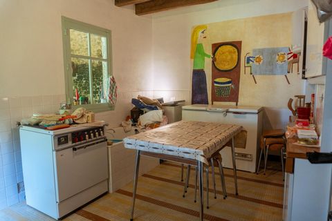 photo no. 10