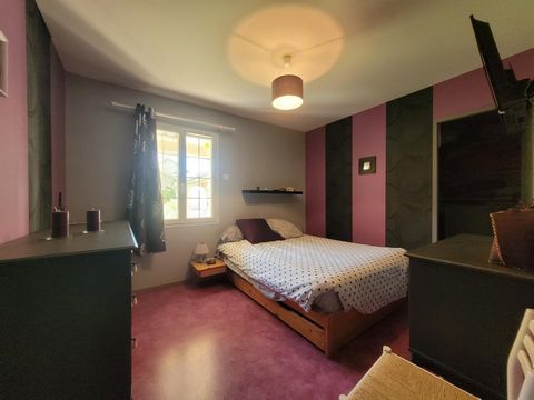 photo no. 15