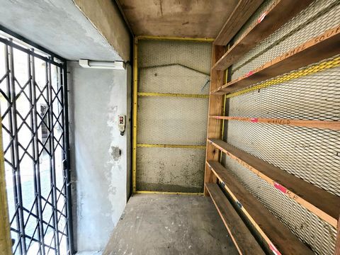 photo no. 11