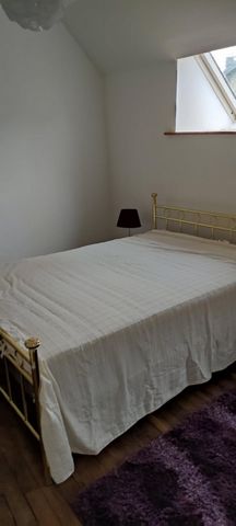 photo no. 5