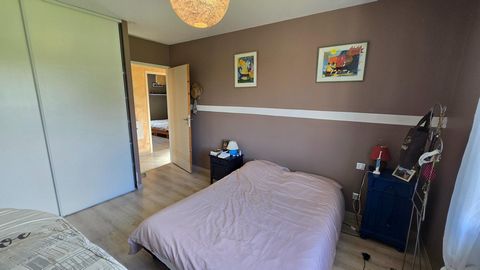 photo no. 12