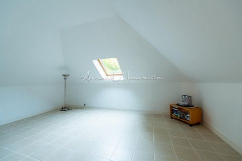 photo no. 7