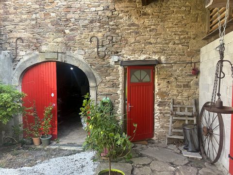 photo no. 15