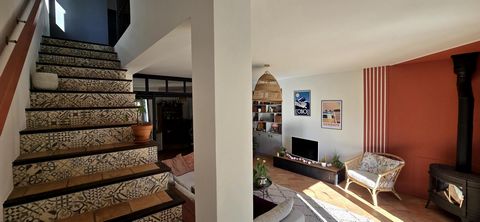 photo no. 14