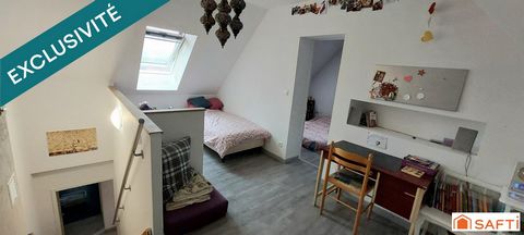 photo no. 12