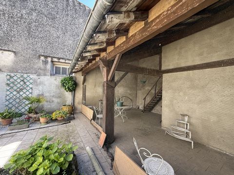 photo no. 12