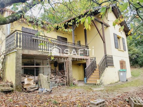 photo no. 15
